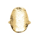 Anillo Conta golden