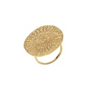 [1212ey0110ch-50] ANILLO SALADA GOLDEN (10)