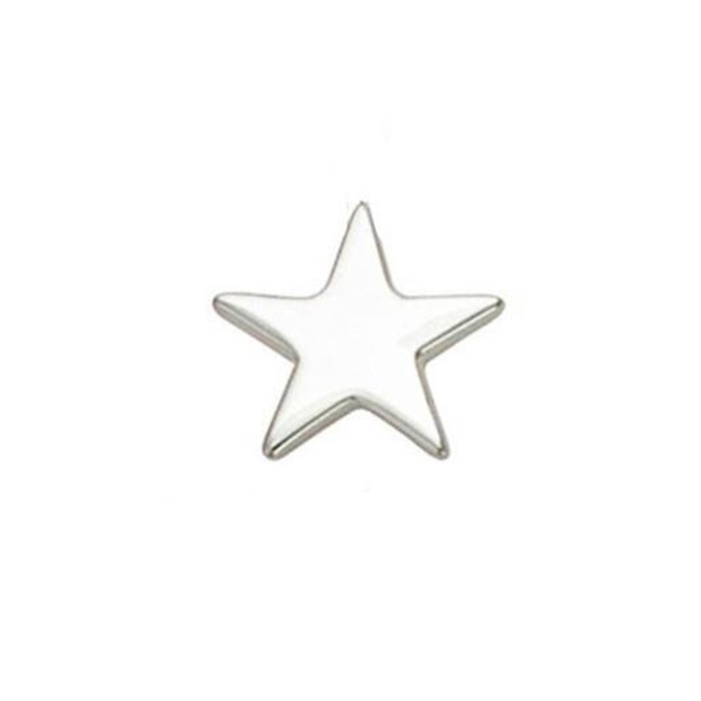 COLGANTE ESTRELLA SILVER