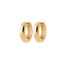 [112656620CH] CRIOLLAS FIONA GOLDEN 20 MM