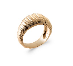 ANILLO LARA GOLDEN