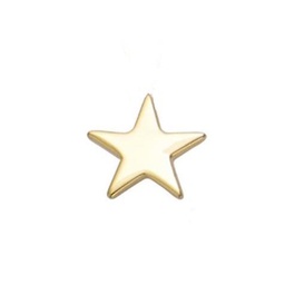 [920362ET153CH] COLGANTE ESTRELLA GOLDEN 