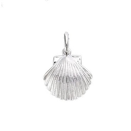 [61EW0780] COLGANTE CONCHA SILVER